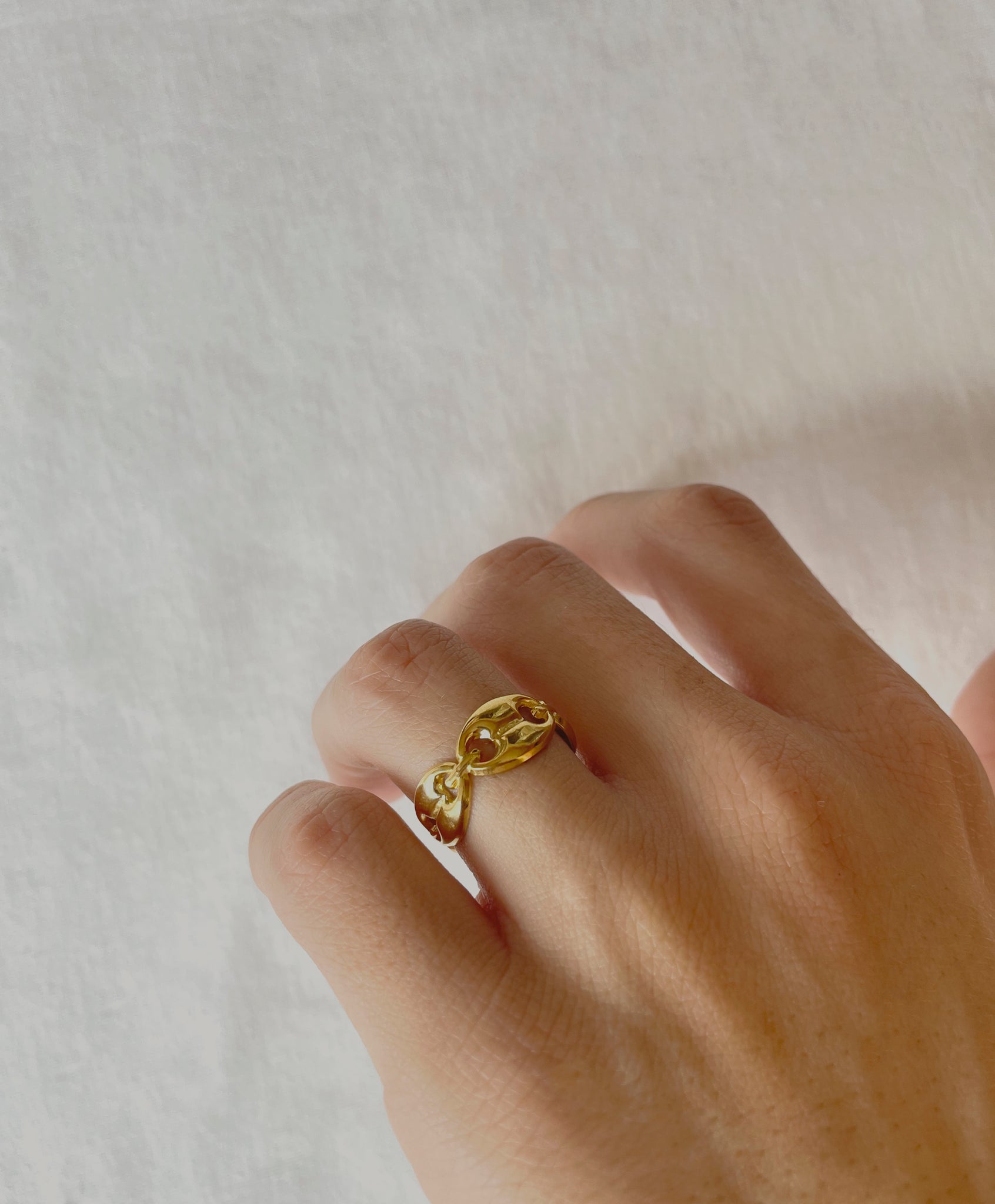 ANILLO DA VINCI